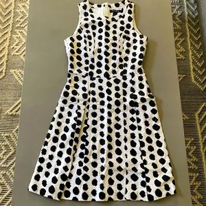 Polka Dot White House | Black Market Dress